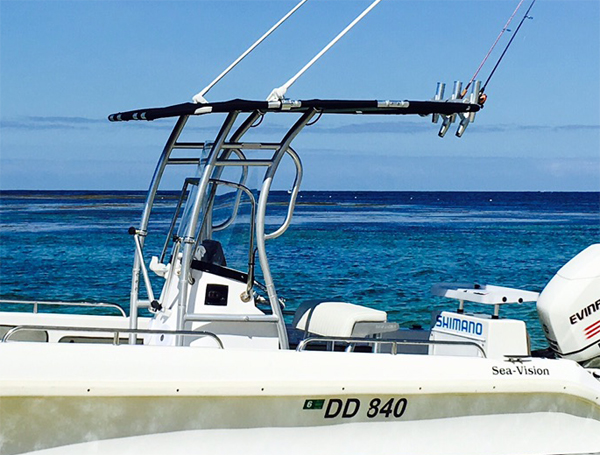 Promotion! Dolphin Pro2 Center - огляд і ціна Fishing Rod Boat